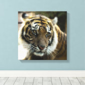 Bengalischer Tiger Leinwanddruck (Insitu (Holzboden))