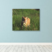 Bengalischer Tiger Leinwanddruck (Insitu (Holzboden))