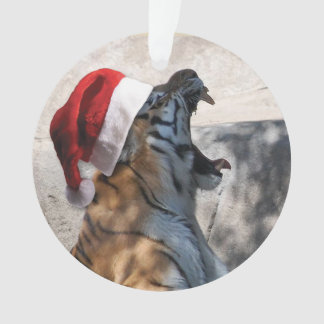 Bengalischer Tiger mit einem Santa Claus-Hut Ornament