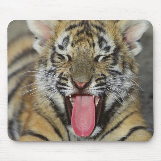 Bengalischer Tiger Mousepad (Vorne)