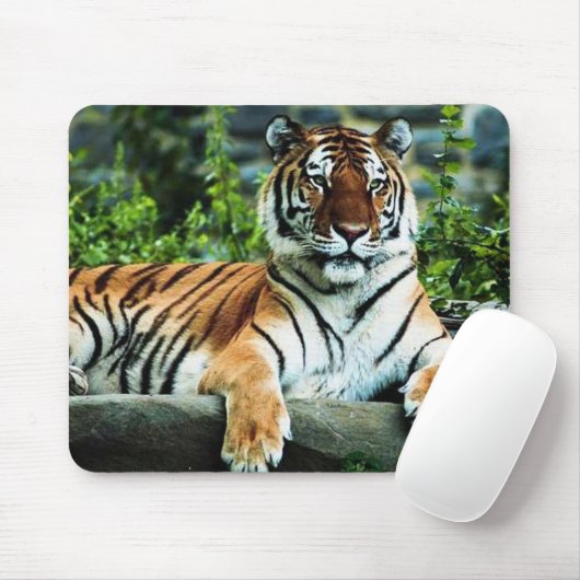 bengalischer Tiger Mousepad (Mit Mouse)