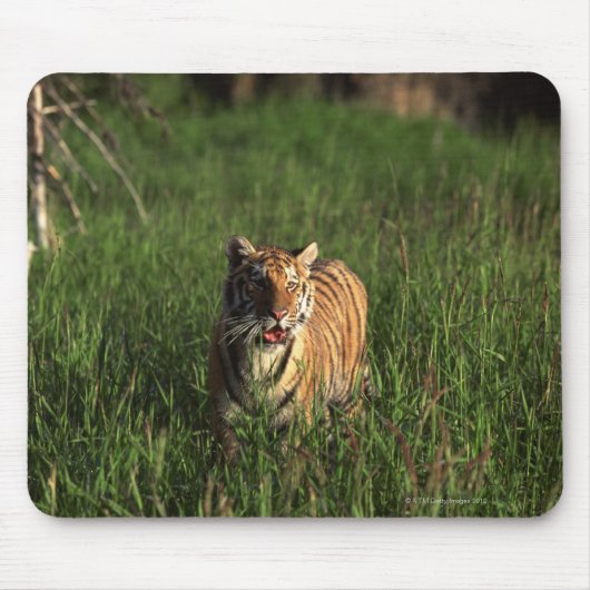 Bengalischer Tiger Mousepad (Vorne)