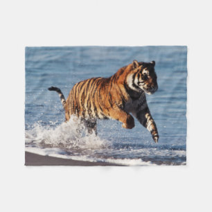 Bengalischer Tiger (Panthera der Tigris) Fleecedecke