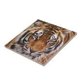 Bengalischer Tiger, Panthera tigris Fliese (Seite)