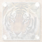 Bengalischer Tiger, Panthera tigris Glasuntersetzer (Rückseite)