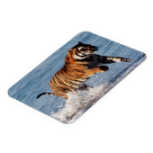 Bengalischer Tiger (Panthera Tigris) Magnet (Linke Seite)
