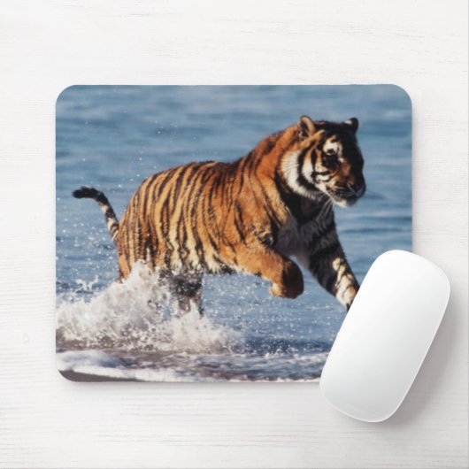 Bengalischer Tiger (Panthera Tigris) Mousepad (Mit Mouse)