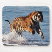 Bengalischer Tiger (Panthera Tigris) Mousepad (Vorne)