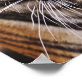 Bengalischer Tiger, Panthera tigris Poster (Ecke)