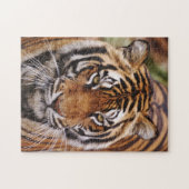Bengalischer Tiger, Panthera tigris Puzzle (Horizontal)