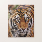 Bengalischer Tiger, Panthera tigris Puzzle (Vertikal)