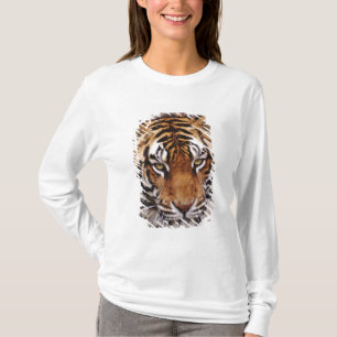 Bengalischer Tiger, Panthera tigris T-Shirt