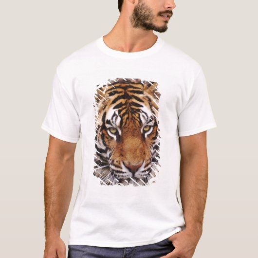 Bengalischer Tiger, Panthera tigris T-Shirt (Vorderseite)