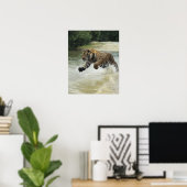 Bengalischer Tiger (Panthera tigris tigris) Auflad Poster (Heimbüro)