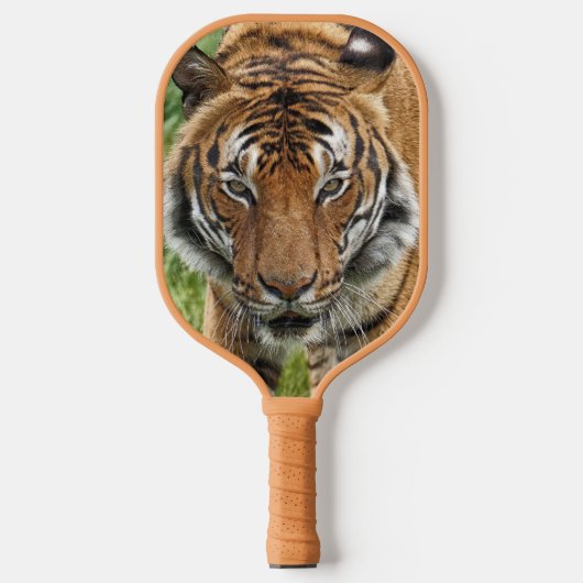 BENGALISCHER TIGER PICKLEBALL SCHLÄGER (Vorderseite)
