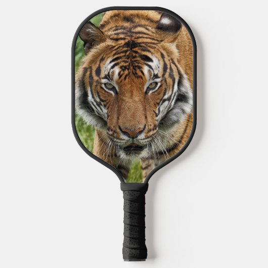 BENGALISCHER TIGER PICKLEBALL SCHLÄGER (Vorderseite)