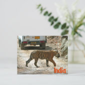 Bengalischer Tiger Postkarte (Stehend Vorderseite)