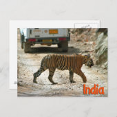 Bengalischer Tiger Postkarte (Vorne/Hinten)