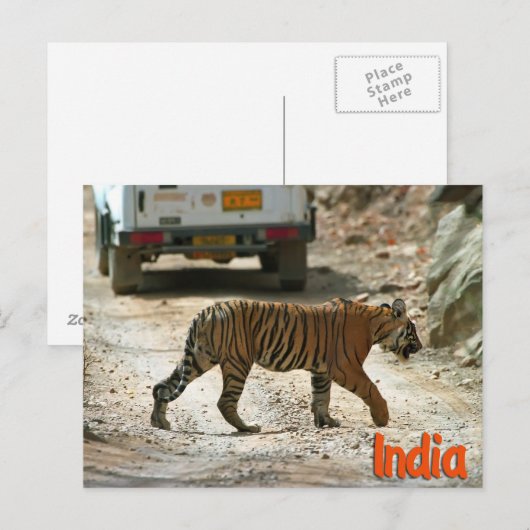 Bengalischer Tiger Postkarte (Vorne/Hinten)