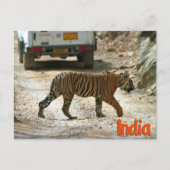 Bengalischer Tiger Postkarte (Vorderseite)