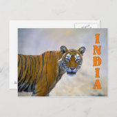 Bengalischer Tiger Postkarte (Vorne/Hinten)