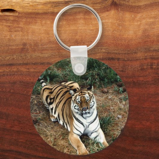 Bengalischer Tiger Schlüsselanhänger (Vorderseite)