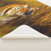 BENGALISCHER TIGER SHERPADECKE (3/4)