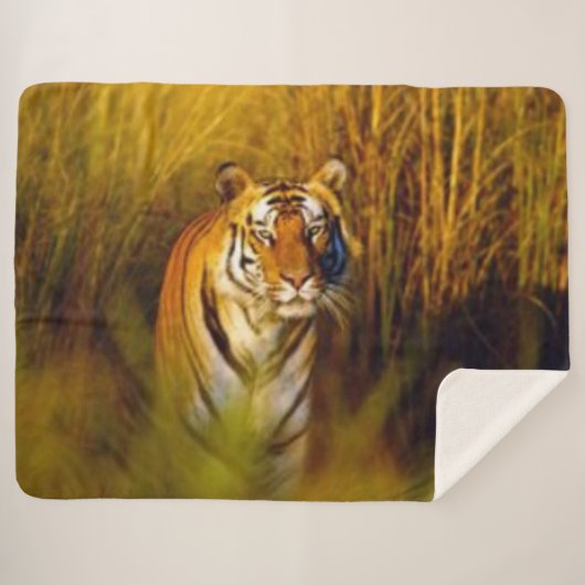 BENGALISCHER TIGER SHERPADECKE (Vorderseite (Horizontal))