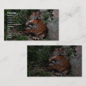 Bengalischer Tiger Visitenkarte (Vorne/Hinten)