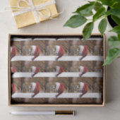 Bengalischer Tiger Weihnachtsmann Seidenpapier (Geschenk)
