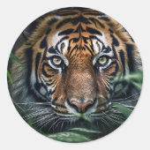 Bengalischer Tigersticker Runder Aufkleber (Vorderseite)