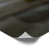 Bengalischer weißer Tiger auf Fotografie Poster (Ecke)