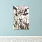 Bengalisches Adleruschel Leinwanddruck (Insitu (Holzboden))