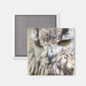 Bengalisches Adleruschel Magnet (Vorderseite/Rückseite)