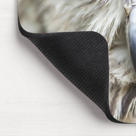 Bengalisches Adleruschel Mousepad (Ecke)