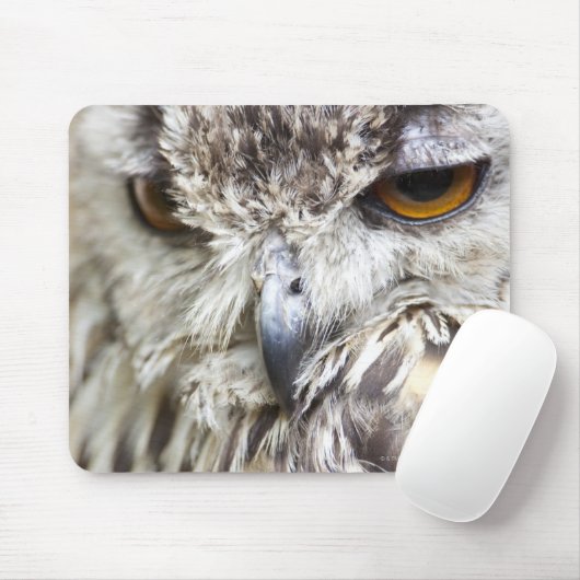 Bengalisches Adleruschel Mousepad (Mit Mouse)