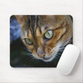 Bengalisches Cat Nah-Up Mousepad (Mit Mouse)