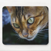Bengalisches Cat Nah-Up Mousepad (Vorne)