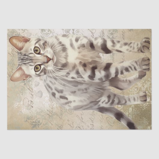 Bengalisches Cat Watercolor Seidenpapier (Vorderseite)