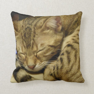 Bengalisches Katzen-Kissen Kissen