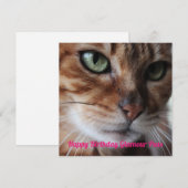 Bengalisches Katzenfoto Geburtstagskarte Feiertagskarte (Vorne/Hinten)