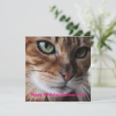 Bengalisches Katzenfoto Geburtstagskarte Feiertagskarte (Stehend Vorderseite)