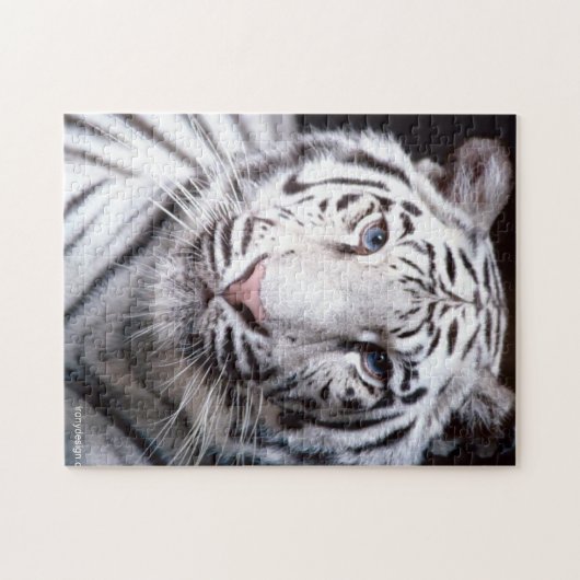 Bengalisches Tiger-Foto-Image Puzzle (Horizontal)