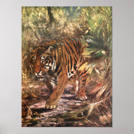 Bengalisches Tiger von CE Swan, Vintages Wildtier Poster