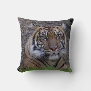 Bengalisches Tigerpillow (4765) Kissen