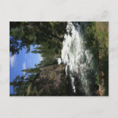 Benham Falls Postkarte (Vorderseite)