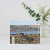 Benicia Straits Postkarte (Stehend Vorderseite)