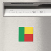 Benin-Flaggen-Magnet Magnet (In Situ (Geschirrspüler))