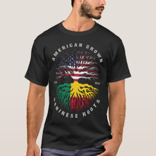 Beninese Roots Benin Flag T-Shirt