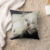 Benita the Kitten Kissen (Decke)